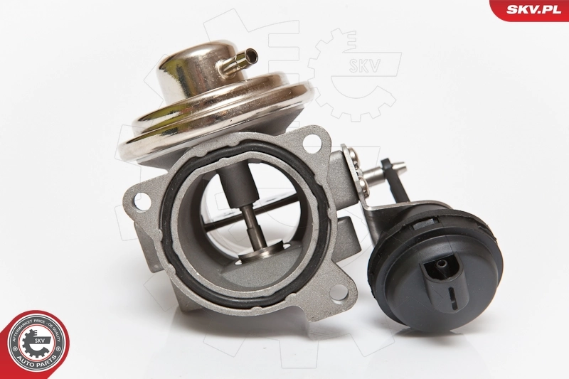 EGR Valve 14SKV082