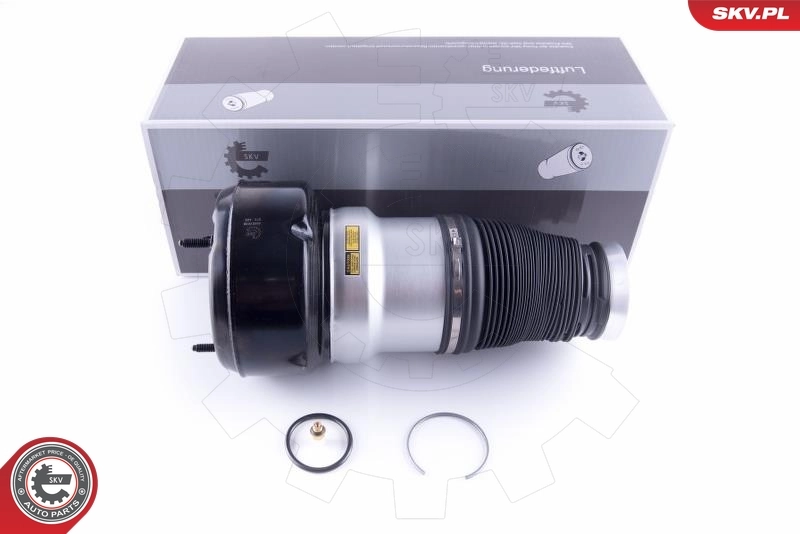 Air Spring, suspension 58SKV038