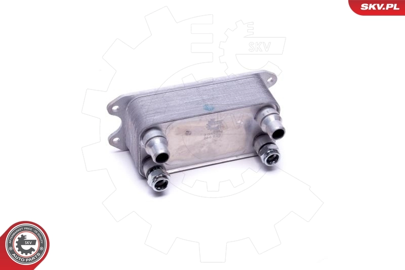 Oil Cooler, engine oil 31SKV215
