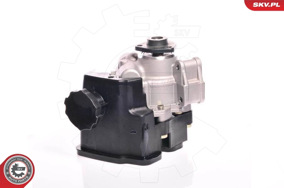 Hydraulic Pump, steering 10SKV162