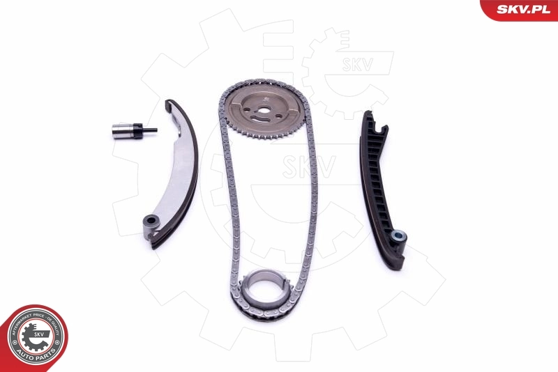 Timing Chain Kit 21SKV113