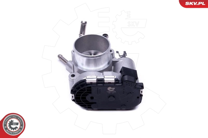 Throttle Body 12SKV098