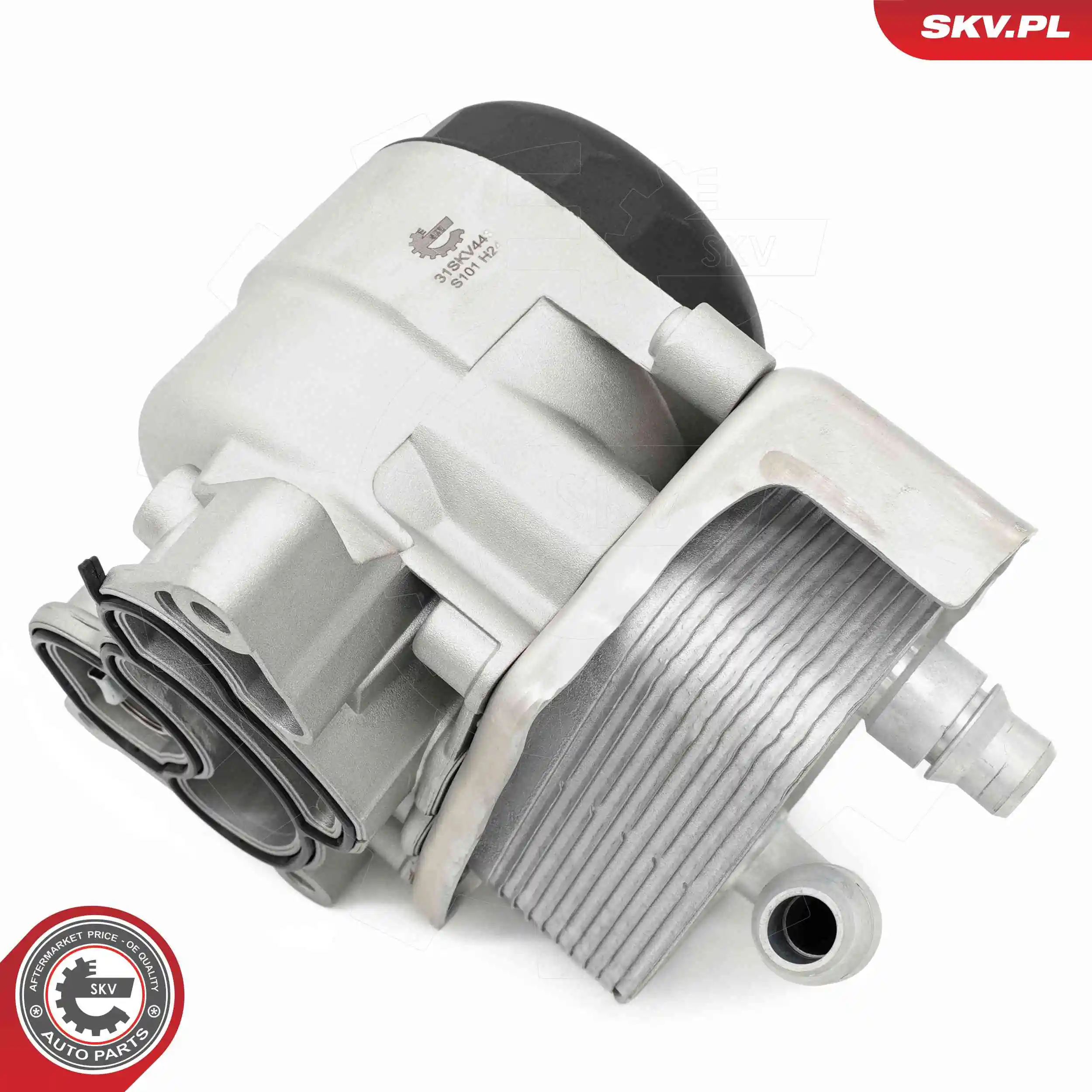 Oil Cooler, engine oil 31SKV443