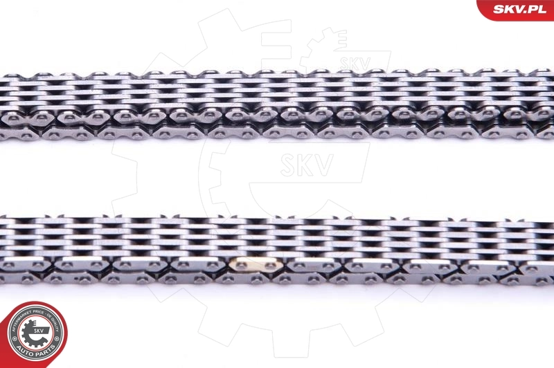 Timing Chain Kit 21SKV125