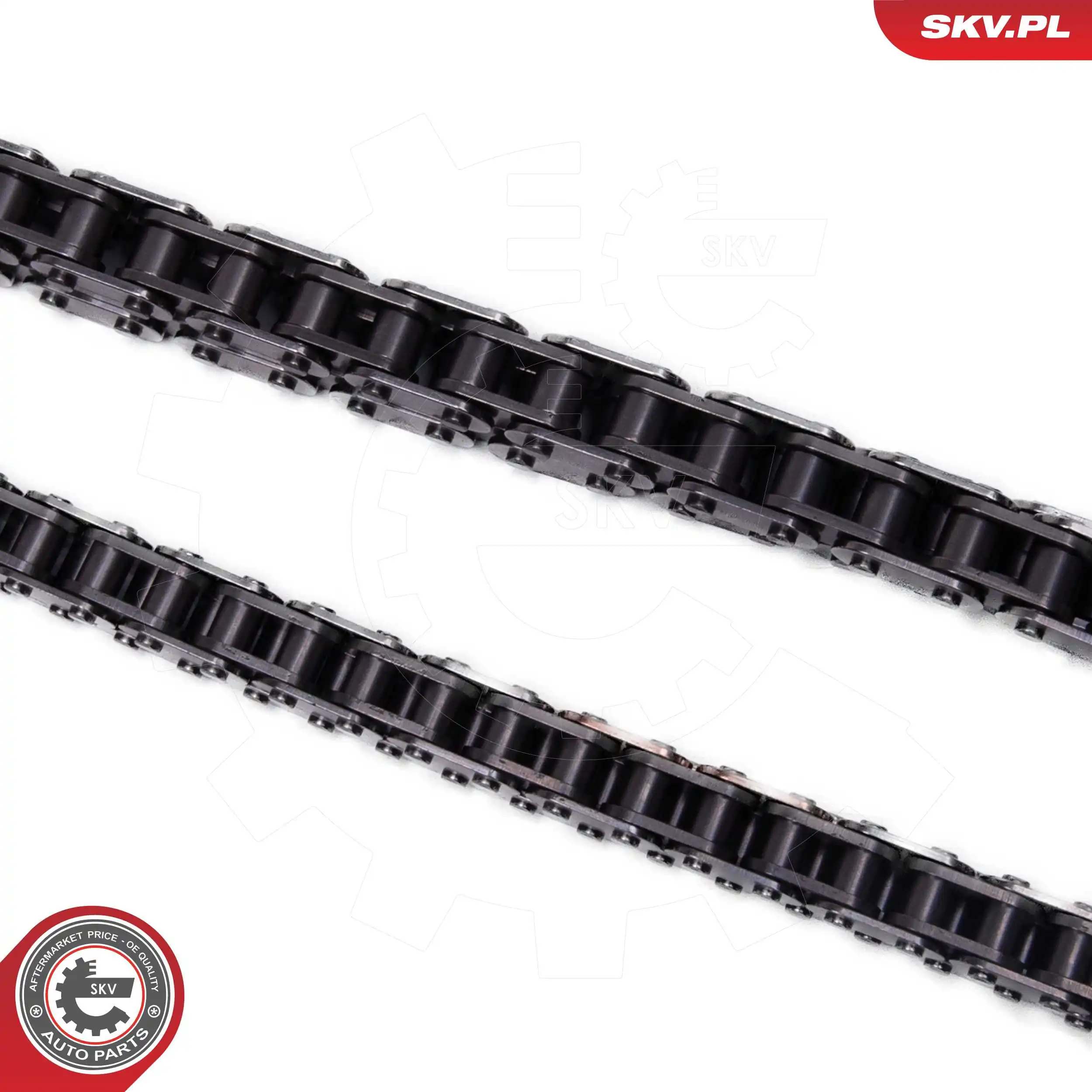 Timing Chain Kit 21SKV250