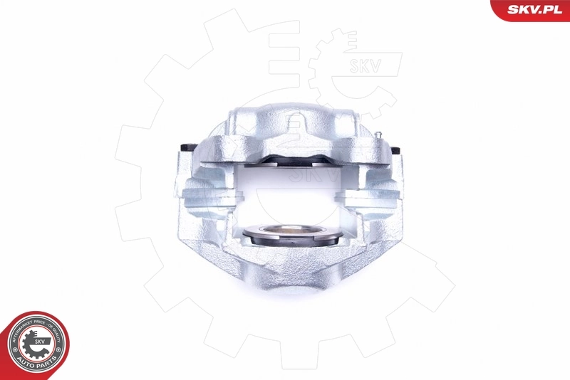 Brake Caliper 45SKV241