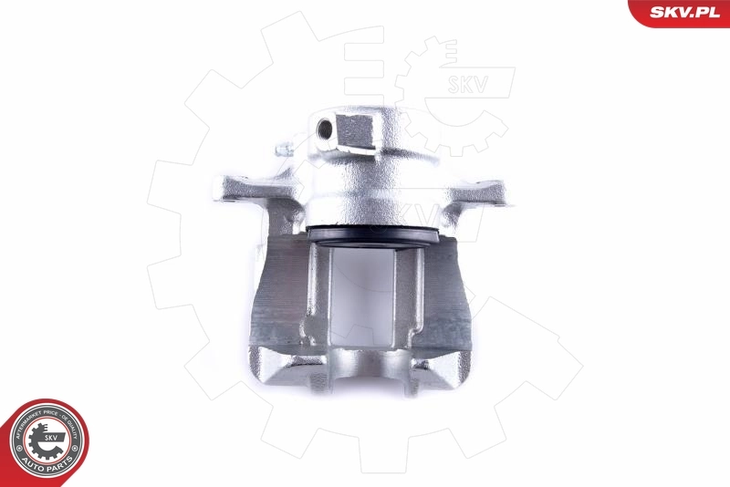 Brake Caliper 55SKV131