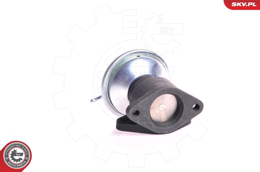 EGR Valve 14SKV001