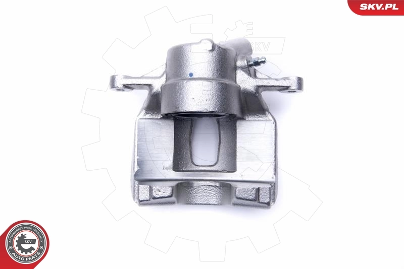 Brake Caliper 55SKV972