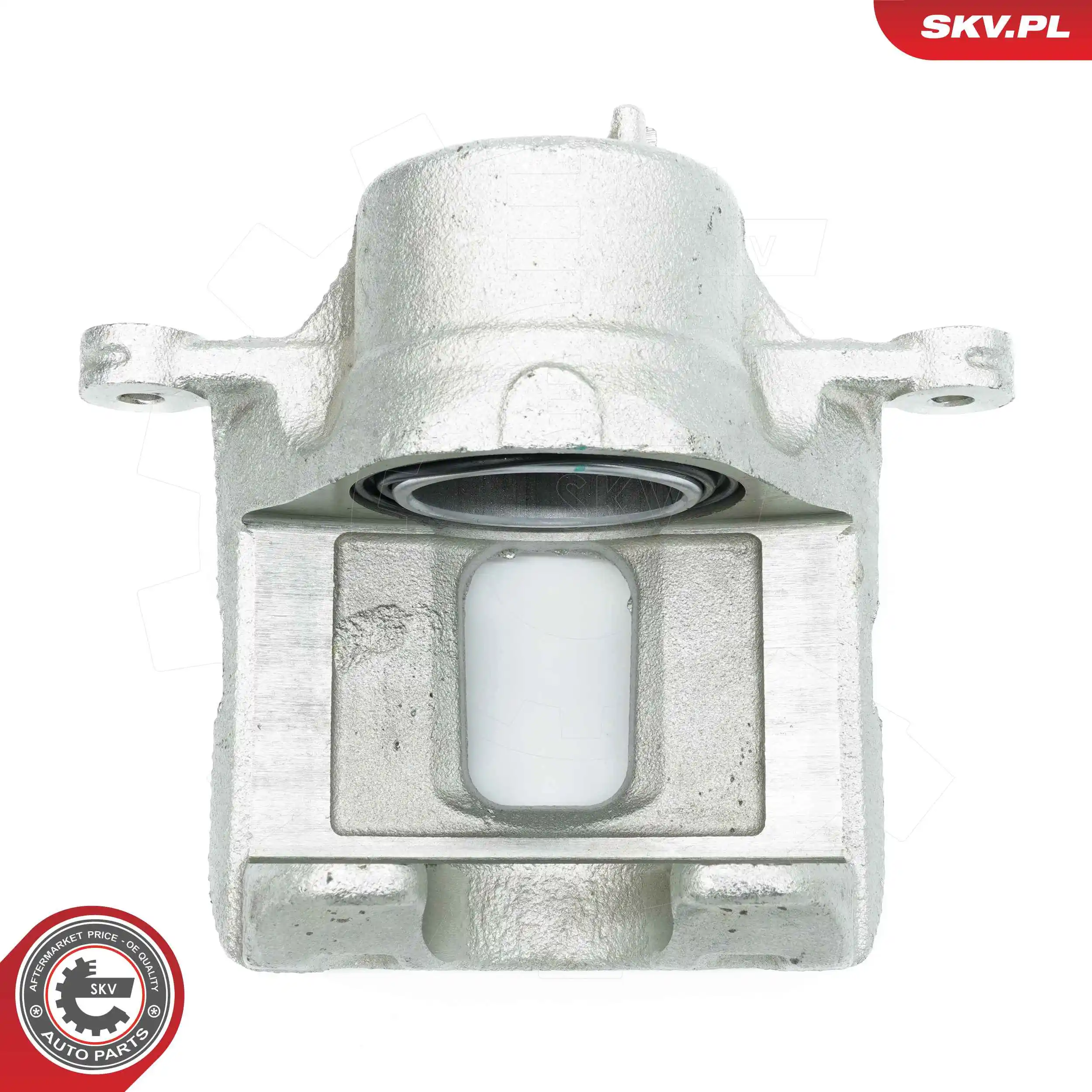 Brake Caliper 56SKV121