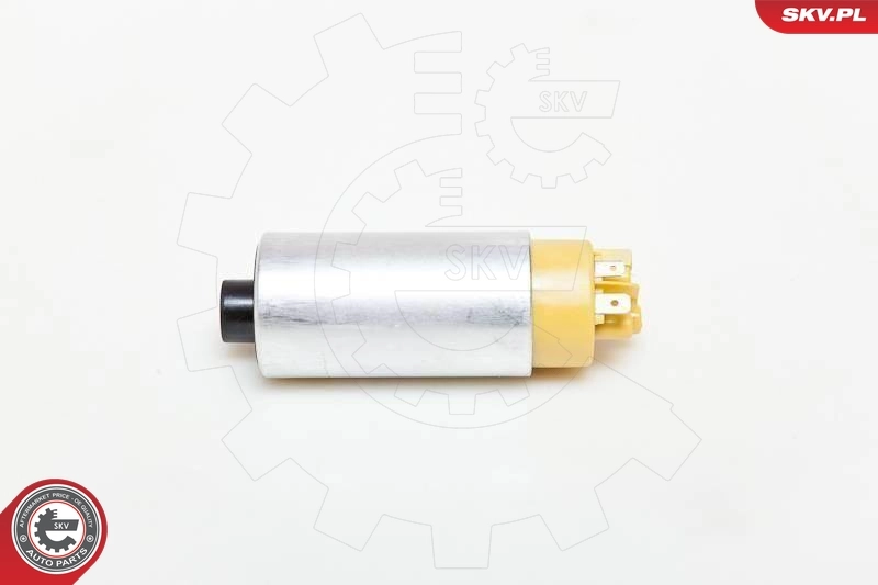 Fuel Pump 02SKV248