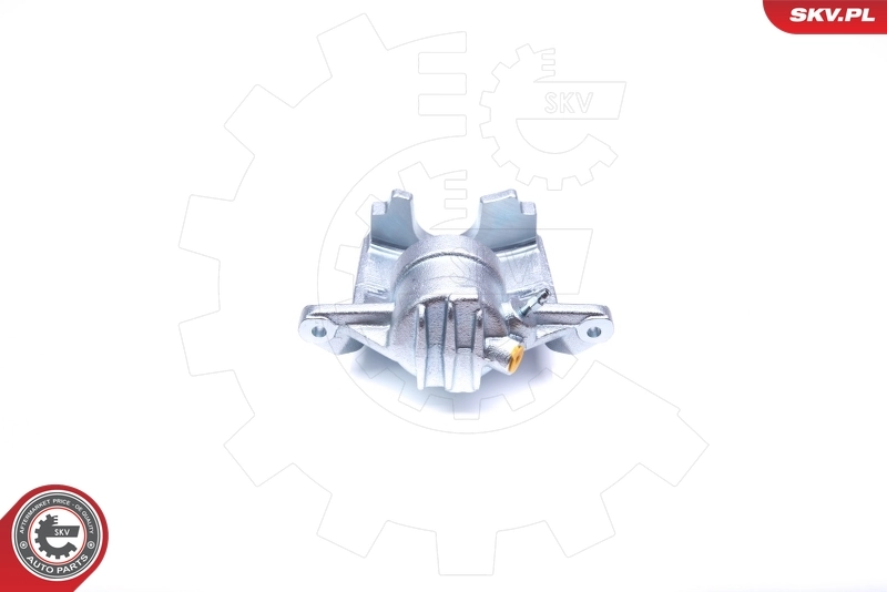 Brake Caliper 42SKV221