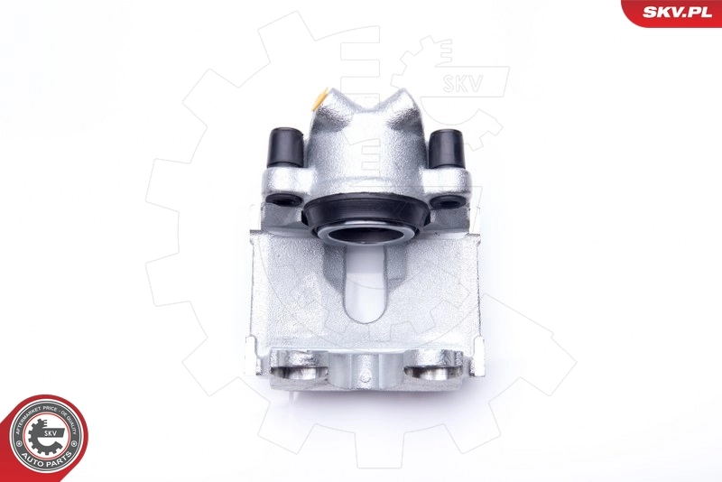 Brake Caliper 34SKV042