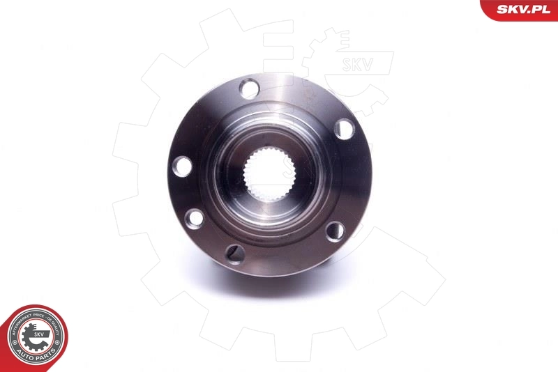 Wheel Bearing Kit 29SKV491