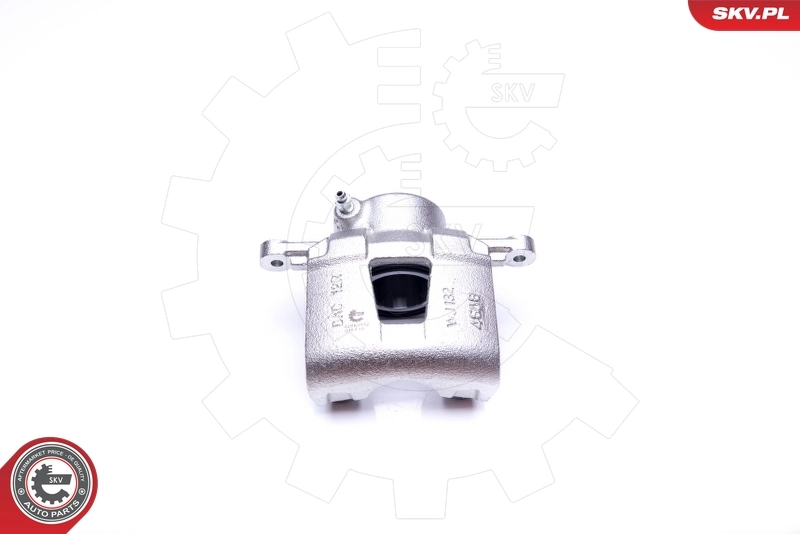 Brake Caliper 42SKV152