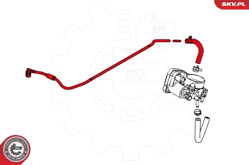 Radiator Hose 96SKV034