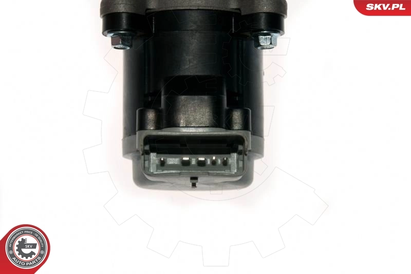 EGR Valve 14SKV089