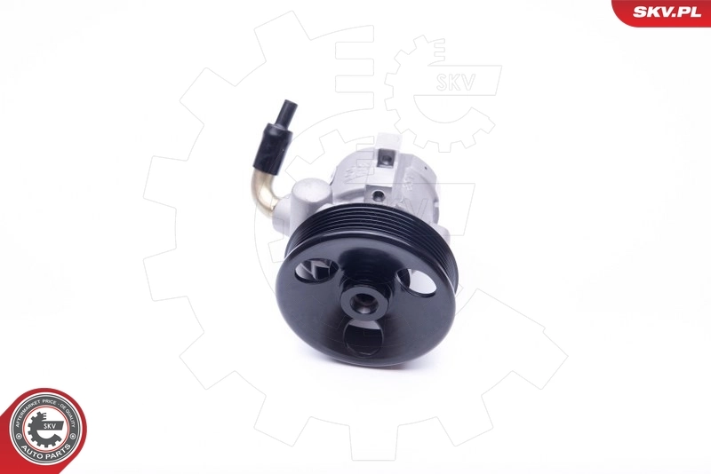 Hydraulic Pump, steering 10SKV279