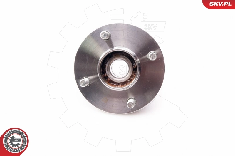 Wheel Bearing Kit 29SKV170