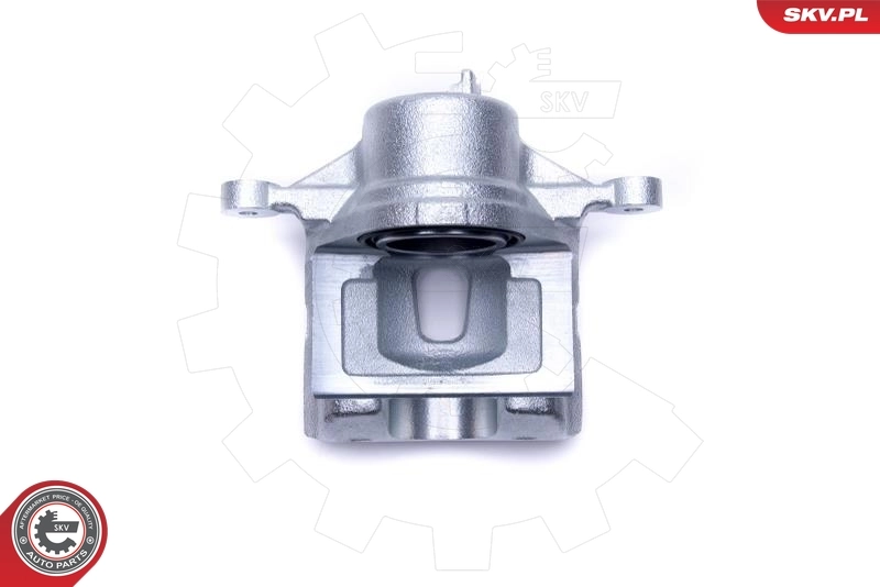 Brake Caliper 46SKV841