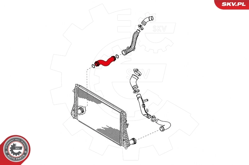 Charge Air Hose 24SKV643