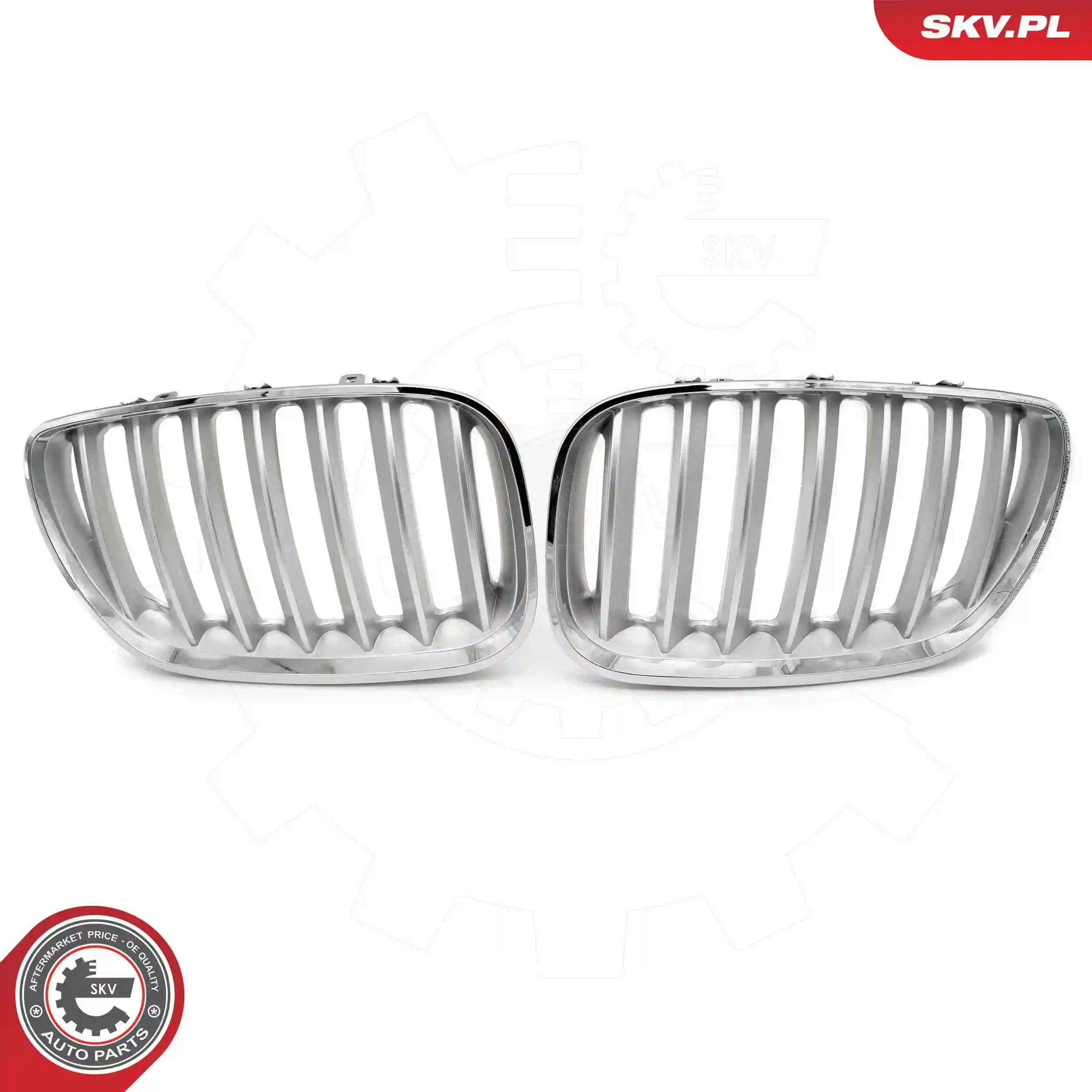 ESEN SKV 66SKV279 Radiator Grille