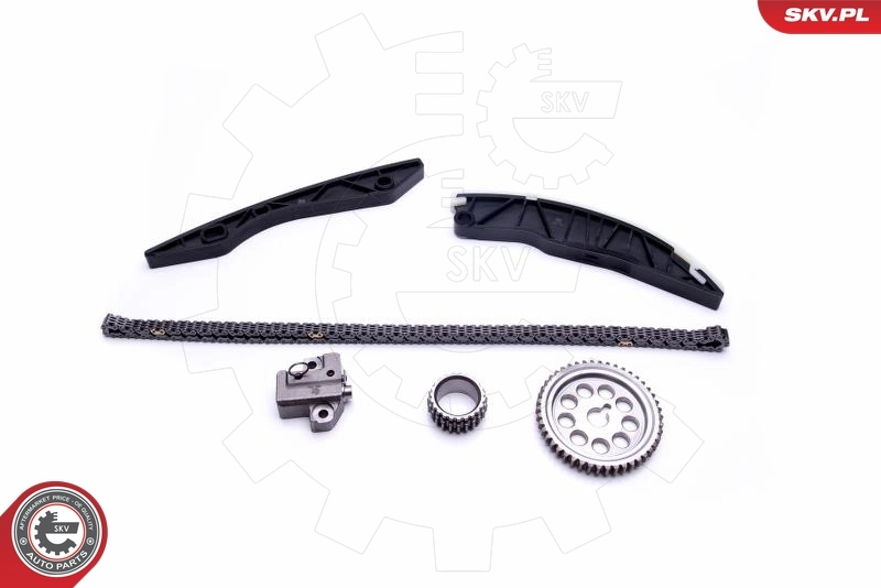 Timing Chain Kit 21SKV150