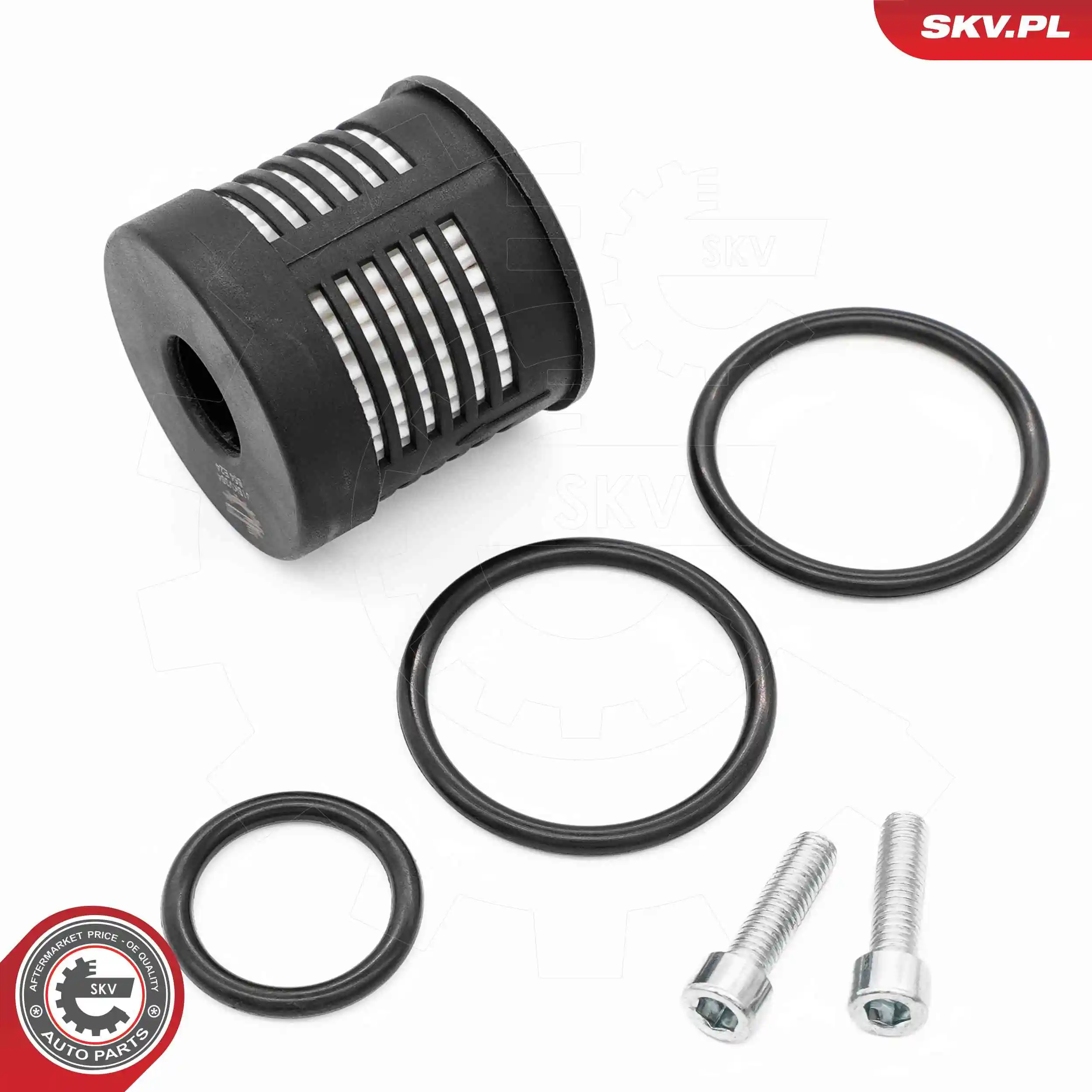 Hydraulic Filter, multi-plate clutch (all-wheel drive) 31SKV394