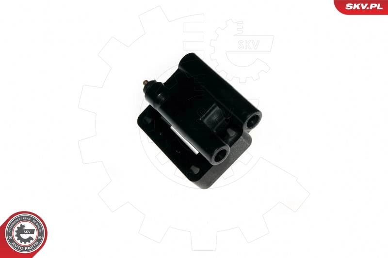 Ignition Coil 03SKV147