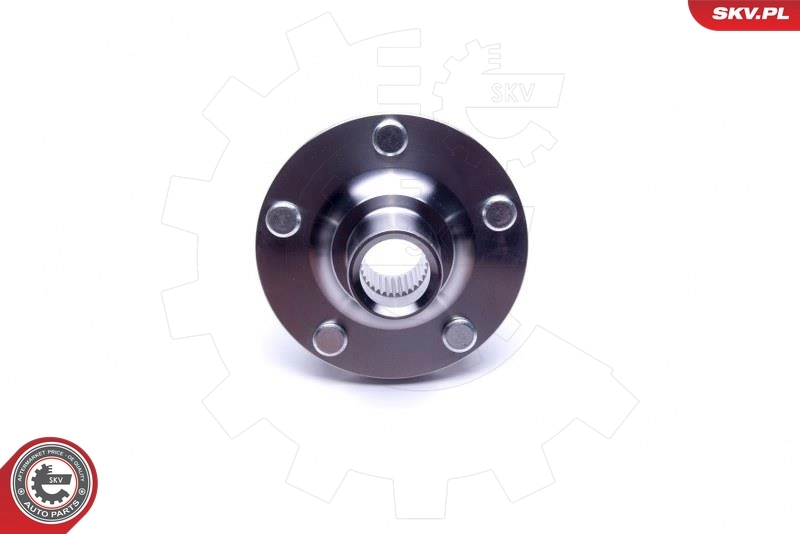ESEN SKV 29SKV502 Wheel Bearing Kit