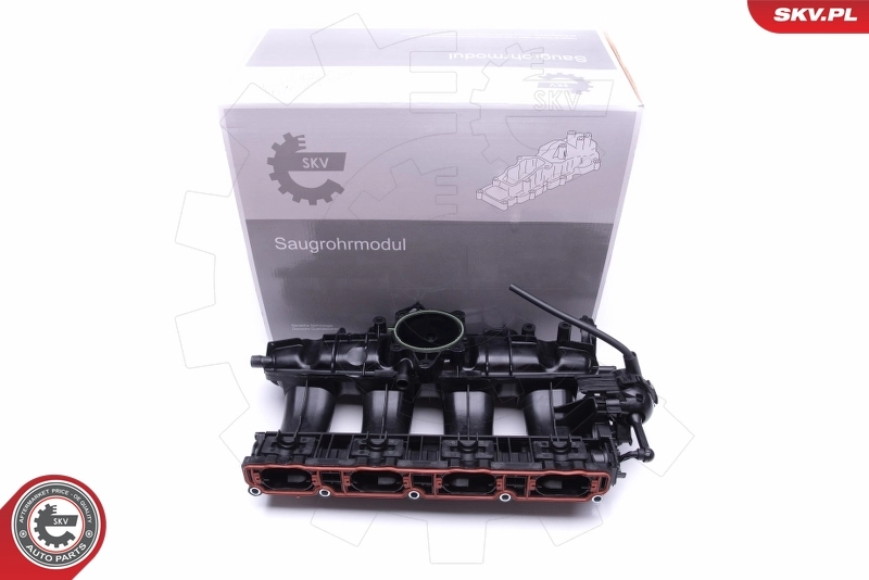 Intake Manifold Module 49SKV010