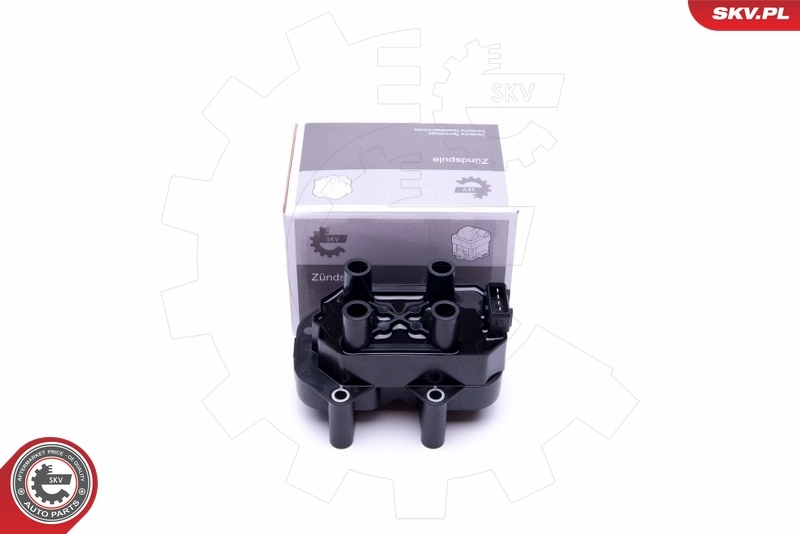 Ignition Coil 03SKV299