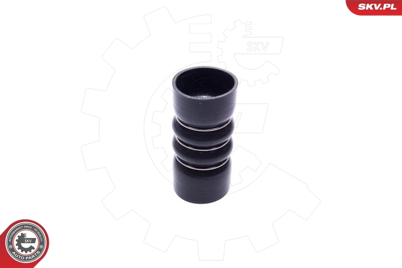 Charge Air Hose 54SKV213