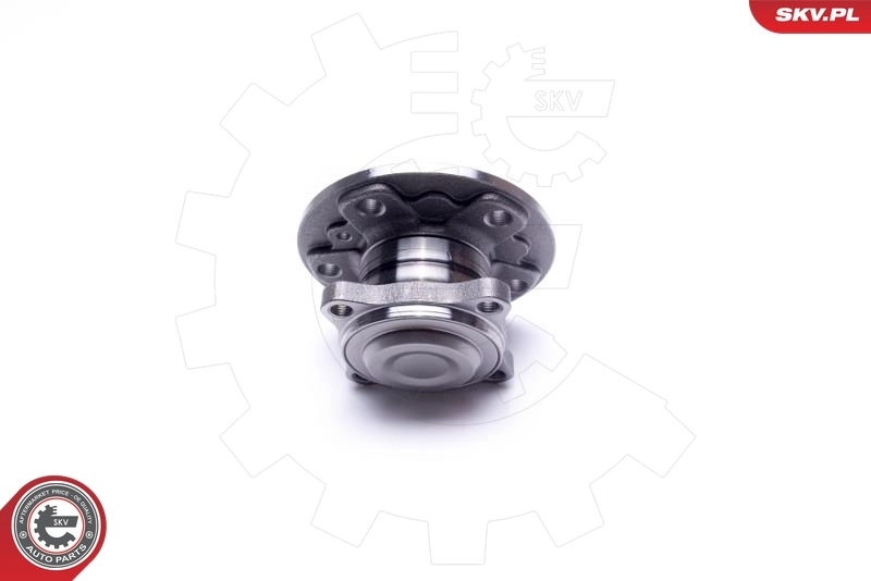 Wheel Bearing Kit 29SKV317