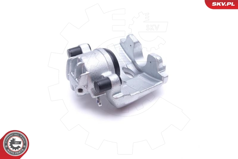 Brake Caliper 55SKV811