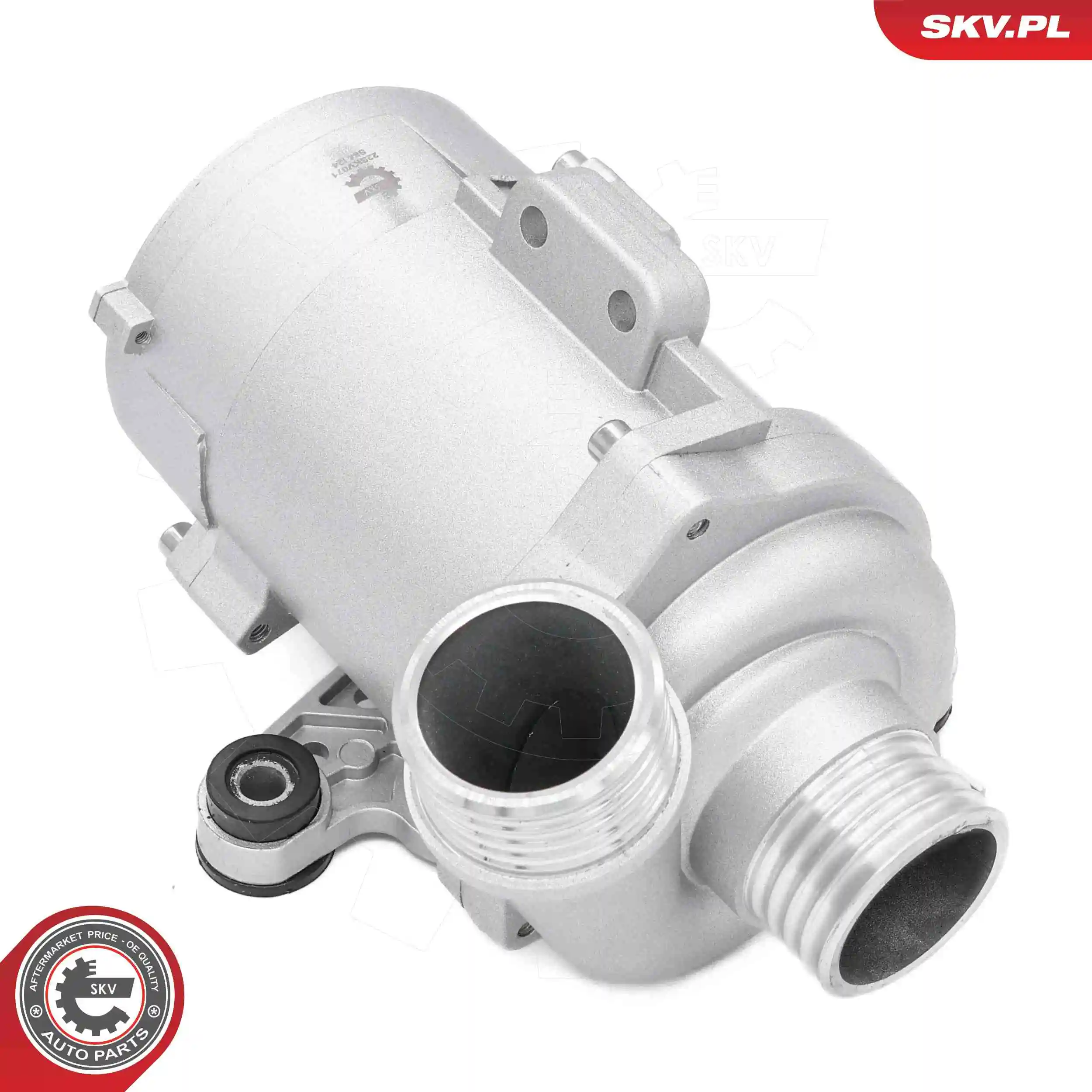 Water Pump, engine cooling 22SKV071