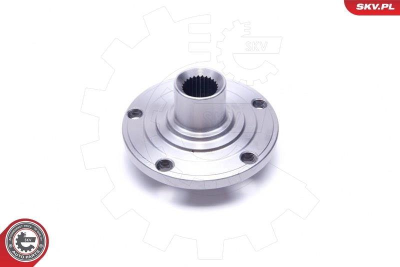 ESEN SKV 29SKV436 Wheel Bearing Kit