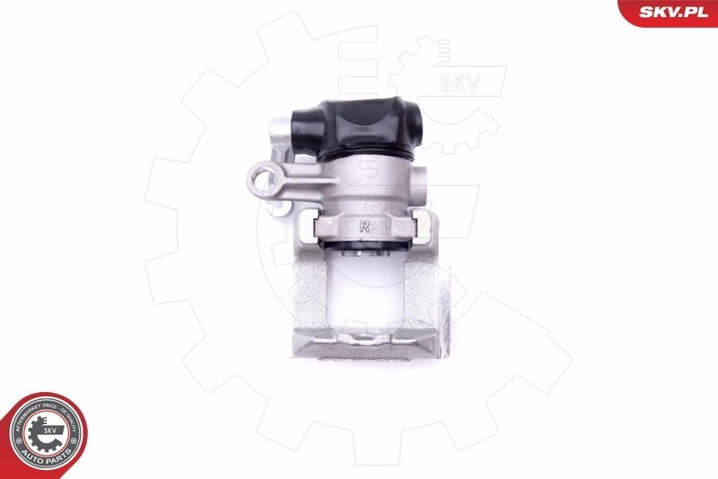 Brake Caliper 42SKV104