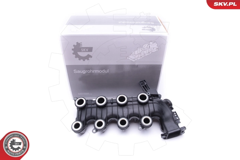 Intake Manifold Module 49SKV022
