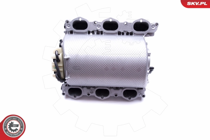 Intake Manifold Module 49SKV013