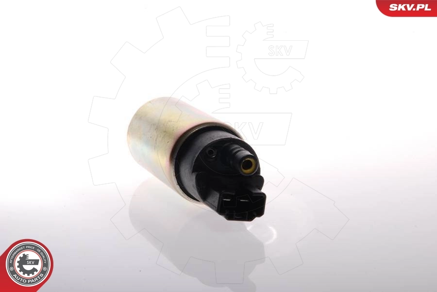 Fuel Pump 02SKV227