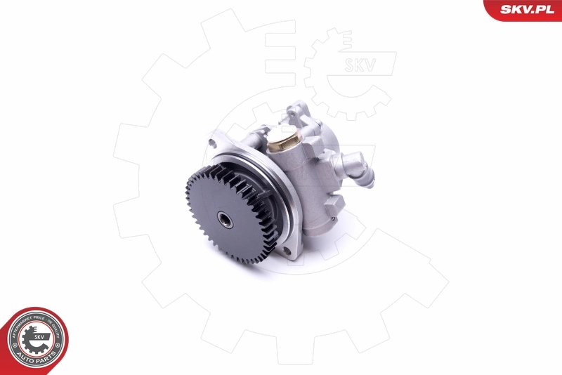 Hydraulic Pump, steering 10SKV289