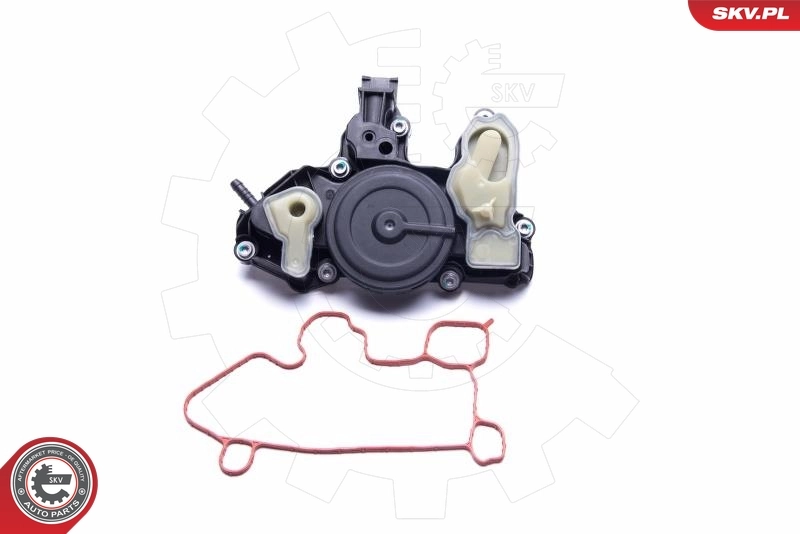 Oil Cooler, engine oil 31SKV175