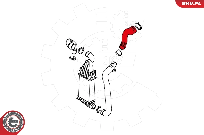 Charge Air Hose 24SKV222