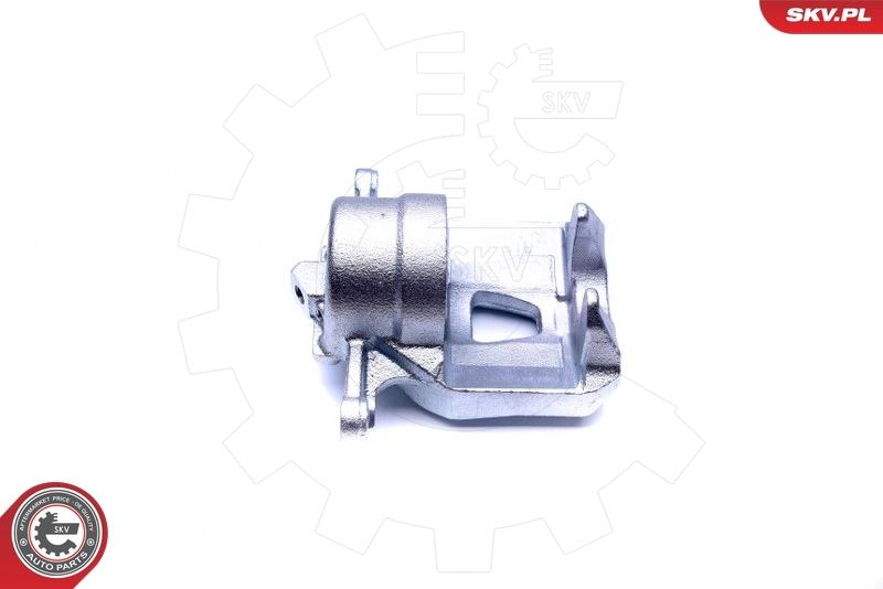 Brake Caliper 45SKV412