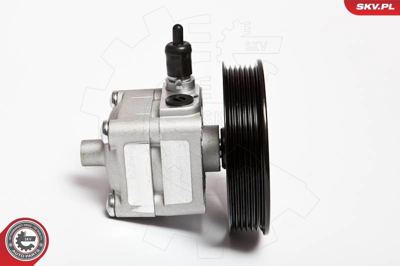 Hydraulic Pump, steering 10SKV033