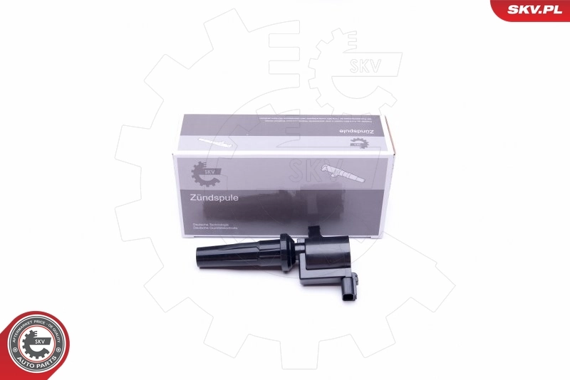 Ignition Coil 03SKV301
