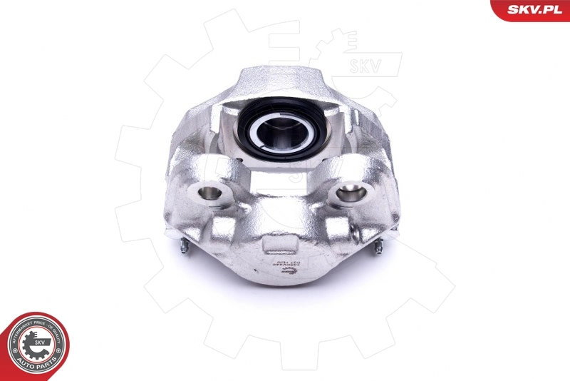 Brake Caliper 45SKV442