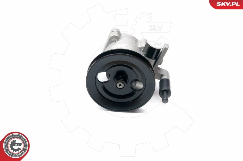 Hydraulic Pump, steering 10SKV204