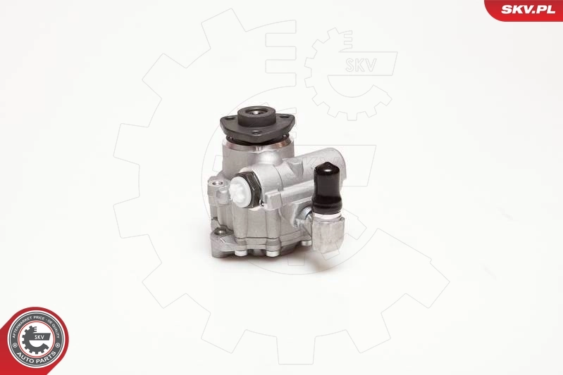 Hydraulic Pump, steering 10SKV124